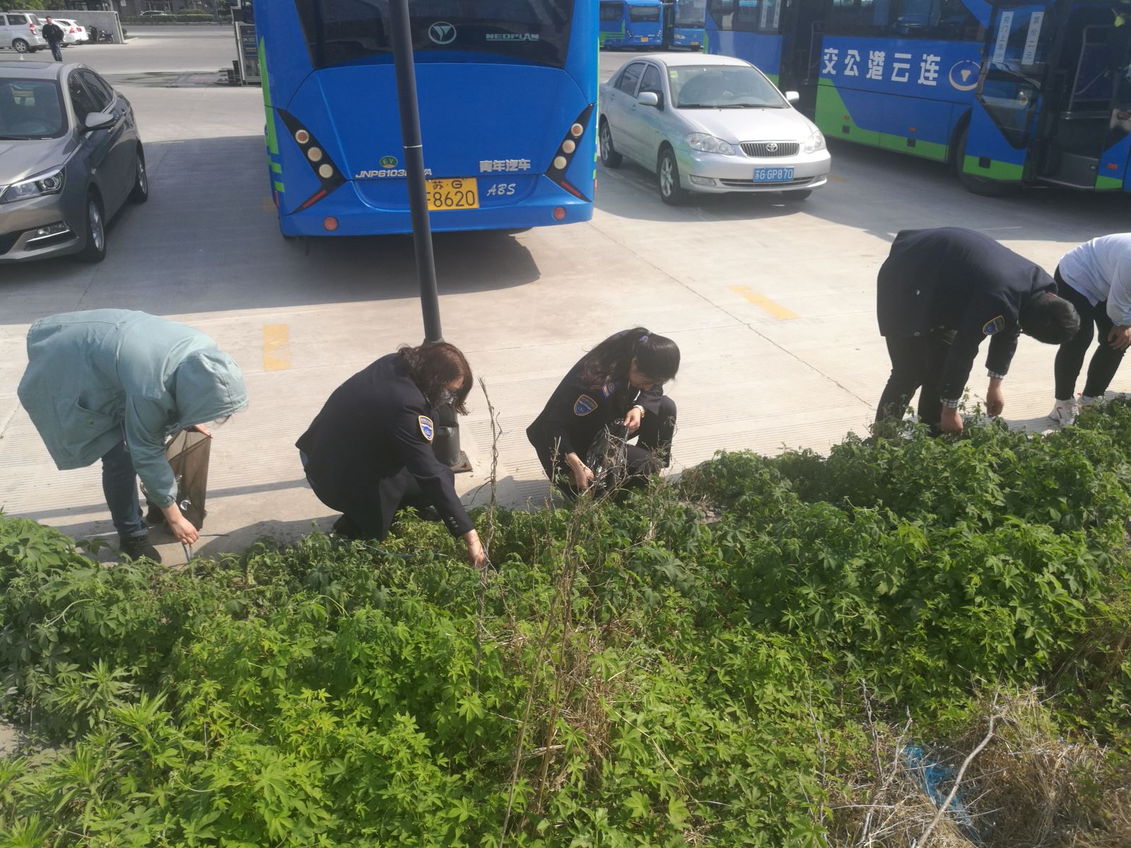 公交集團經(jīng)營(yíng)發(fā)展事業(yè)部開(kāi)展清理垃圾志愿活動(dòng)